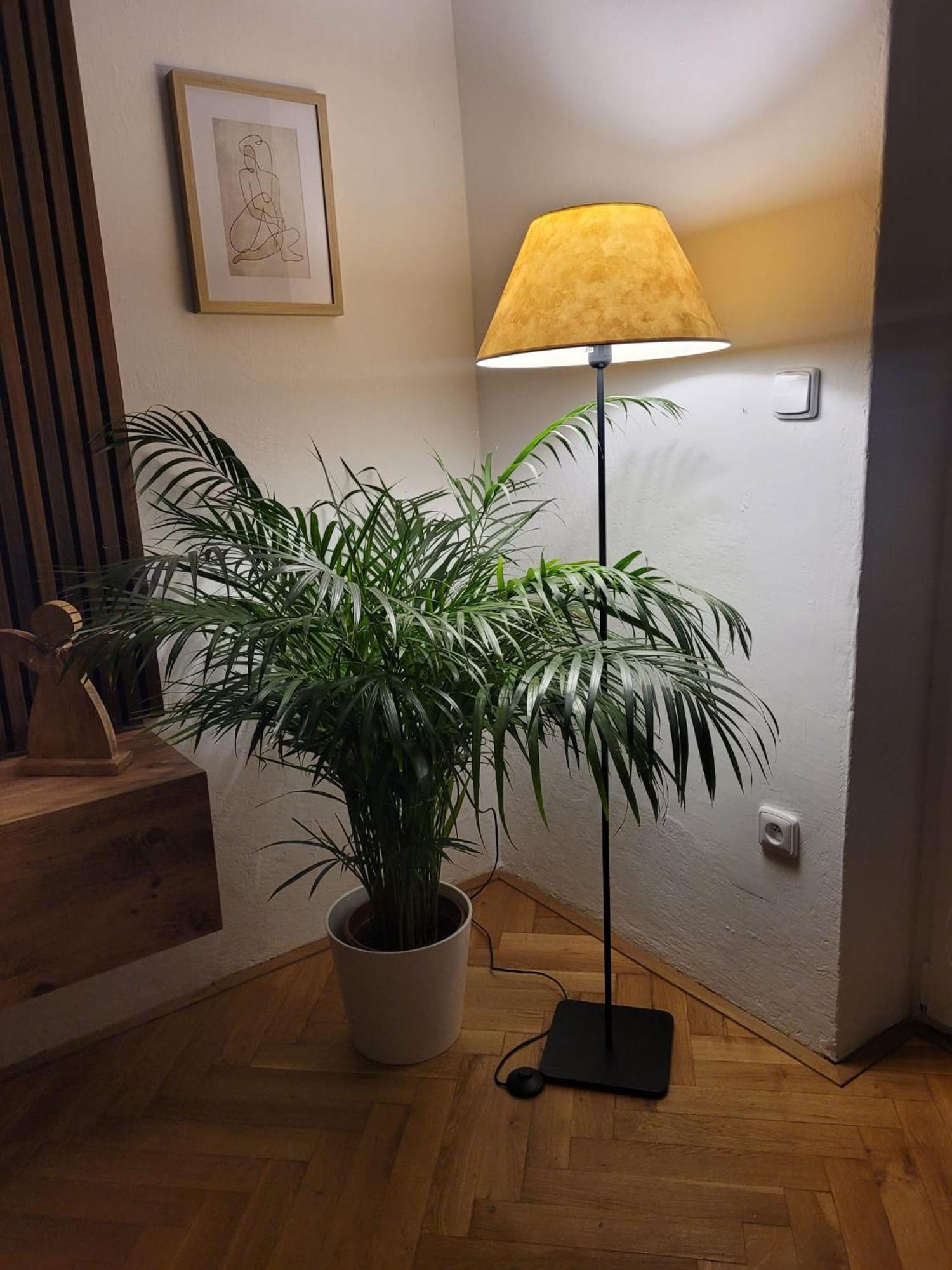 Novy Apartman Eva Йичин Экстерьер фото