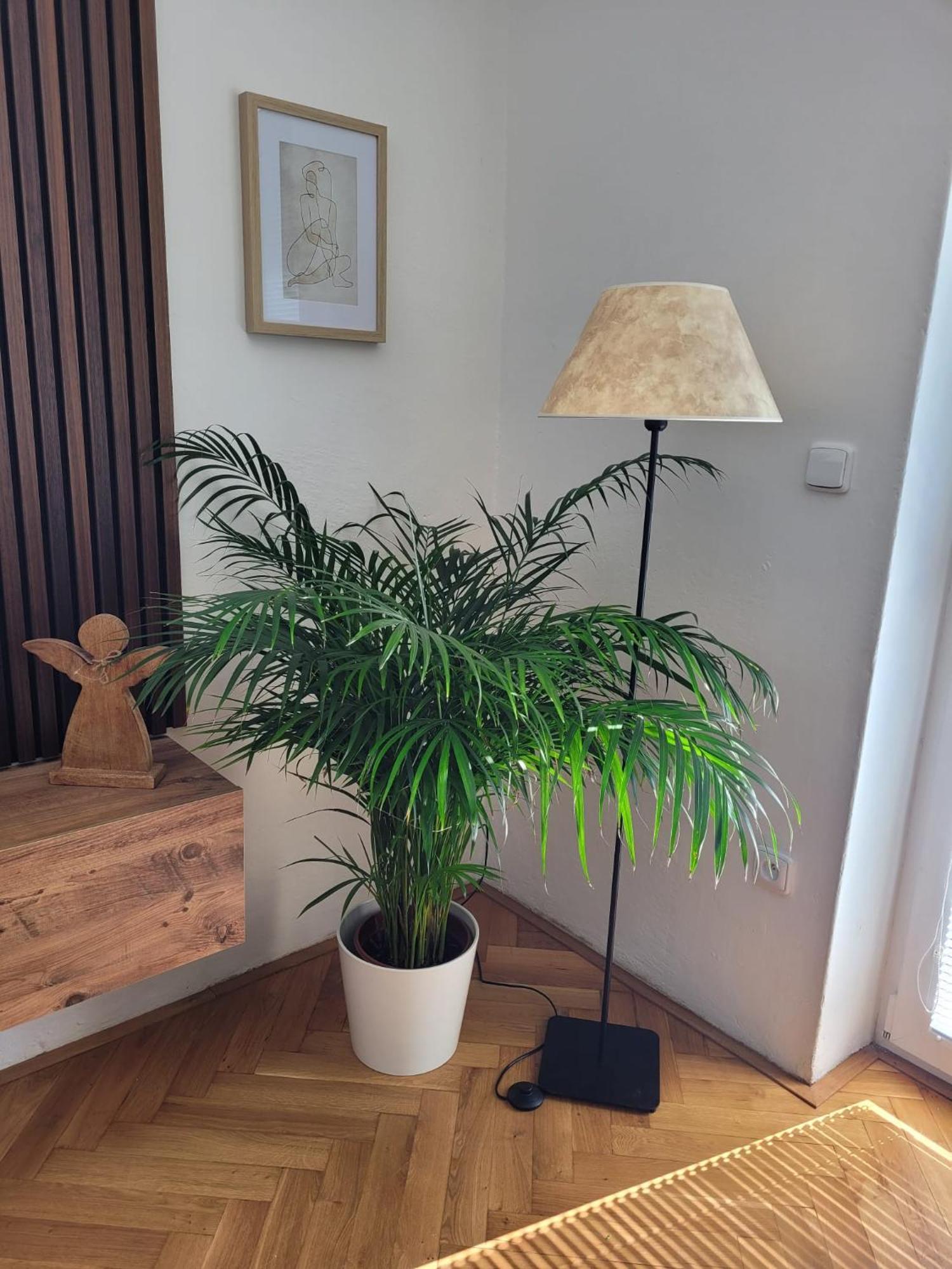 Novy Apartman Eva Йичин Экстерьер фото